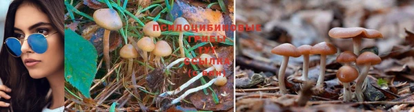 скорость Армянск