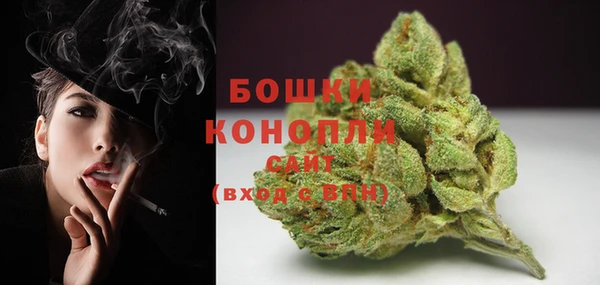 хмурый Арсеньев