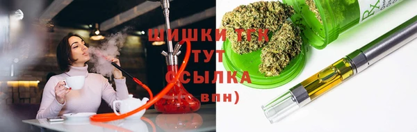 хмурый Арсеньев