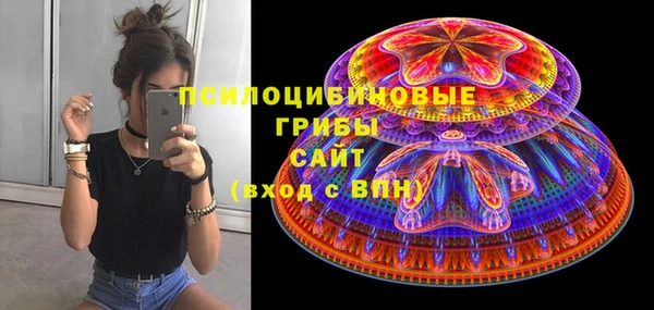 твердый Аркадак