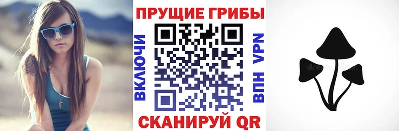 кракен tor  наркошоп  Малоархангельск  Галлюциногенные грибы мицелий 